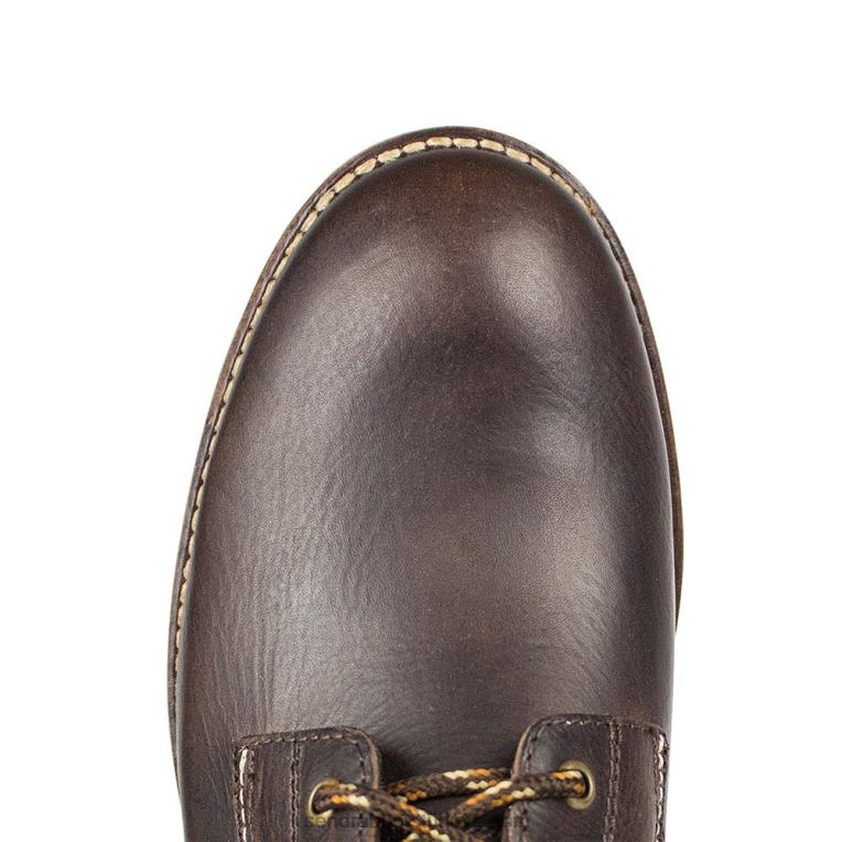 erkekler Sendra 16573 kaspar çikolataRDLJL43