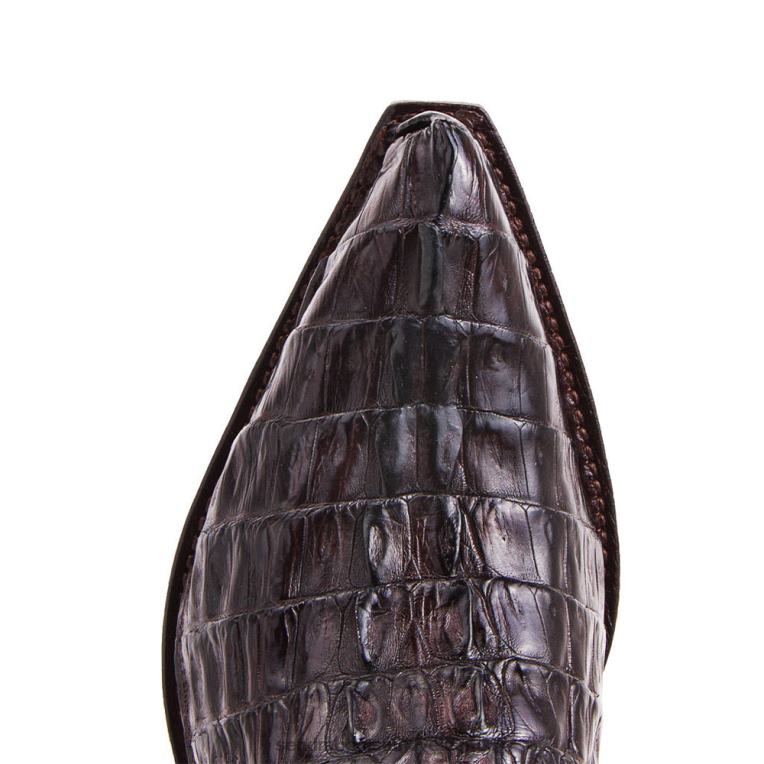 erkekler Sendra 10004 cuervo cola cresta marronRDLJL201